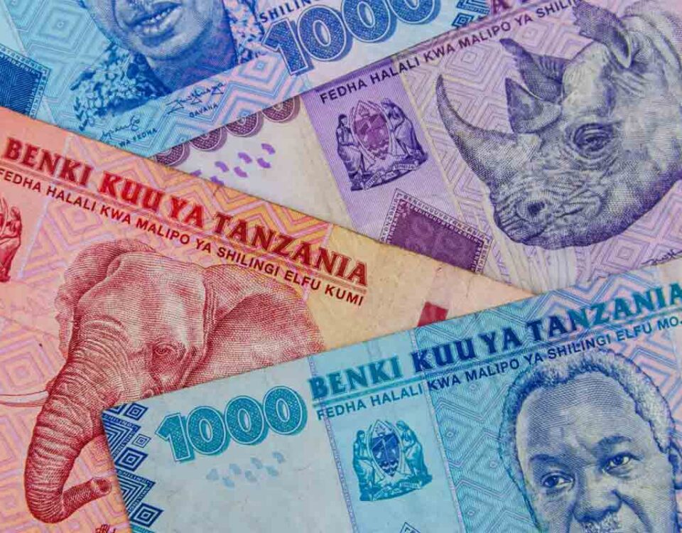 Monete Tanzania: scellino e valuta