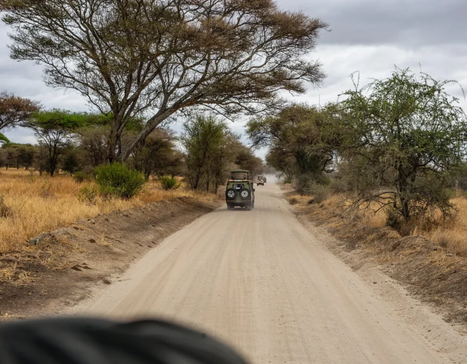 Viaggi organizzati in Tanzania