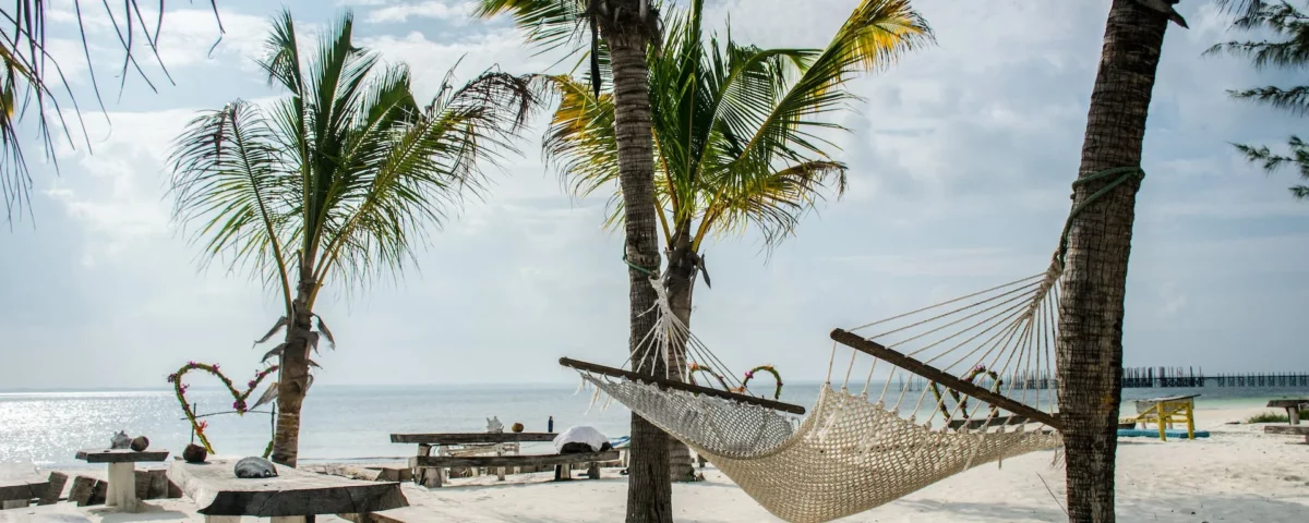 Viaggio a Zanzibar in vacanza: preventivi, offerte, pacchetti