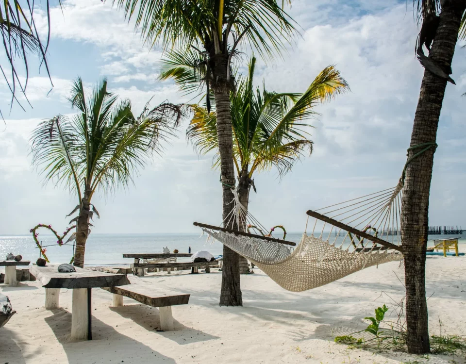 Viaggio a Zanzibar in vacanza: preventivi, offerte, pacchetti