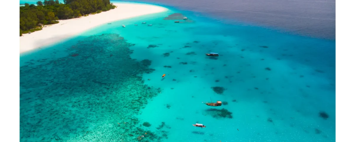 Zanzibar a dicembre: viaggio, mare, offerte e clima