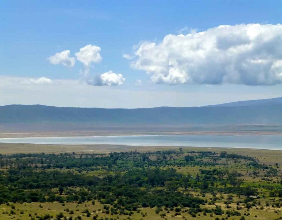 Area di conservazione Ngorongoro crater lodge