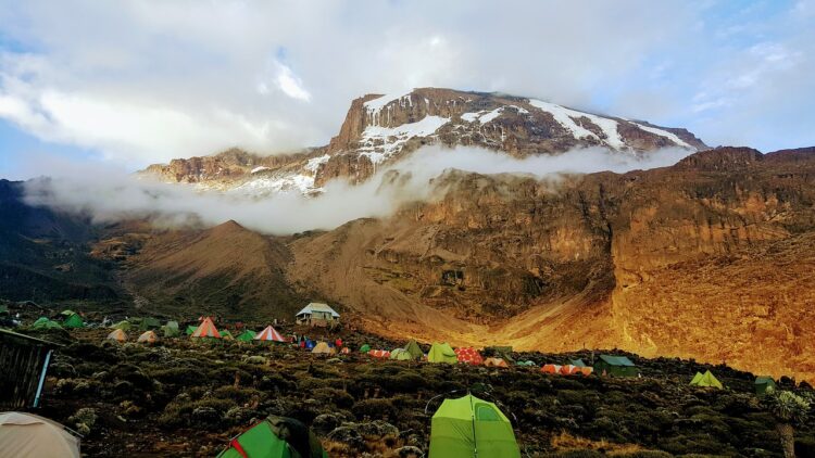 ascension du Kilimandjaro