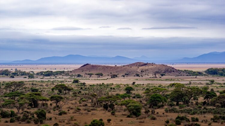 voyage en tanzanie