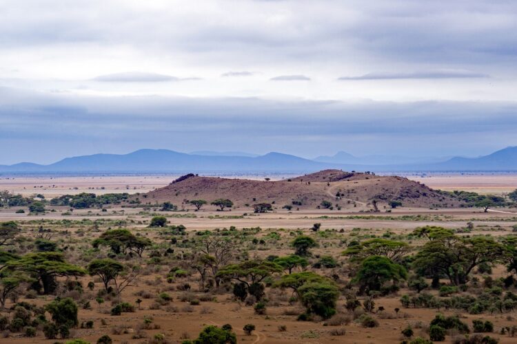 voyage en tanzanie