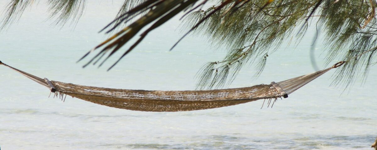 Voyages organisés à Zanzibar