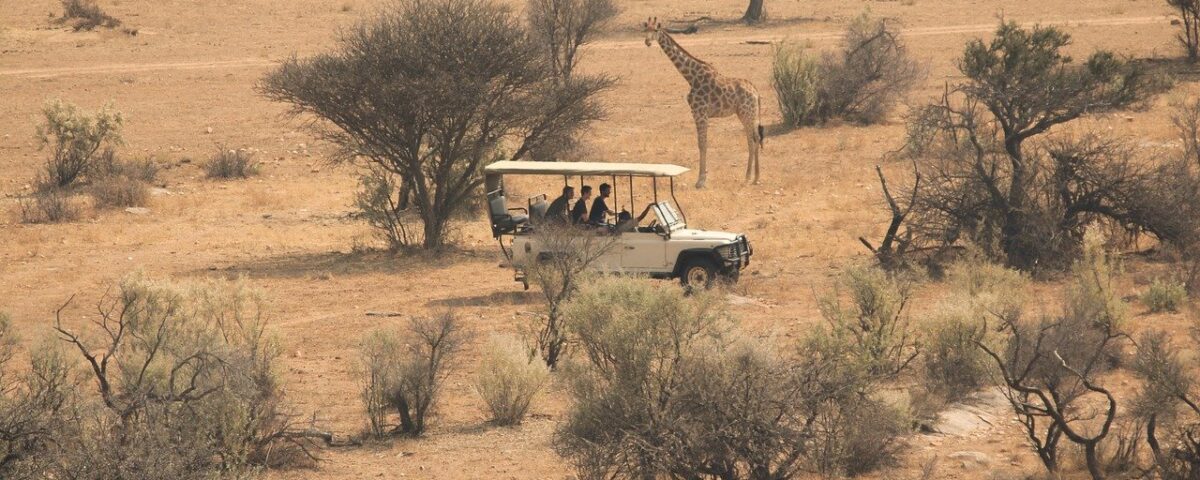 Équipement pour un safari