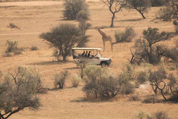 Équipement pour un safari