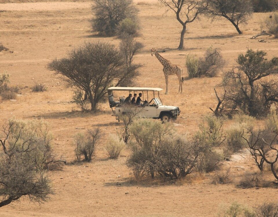 Équipement pour un safari