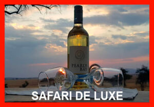 Luxury safari de luxe Tanzanie