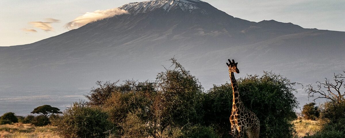 Equipamiento para escalar el Kilimanjaro