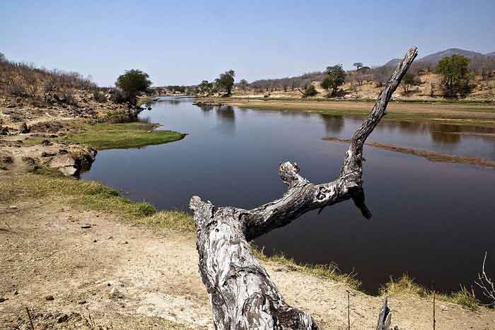 Ruaha River Nationalpark