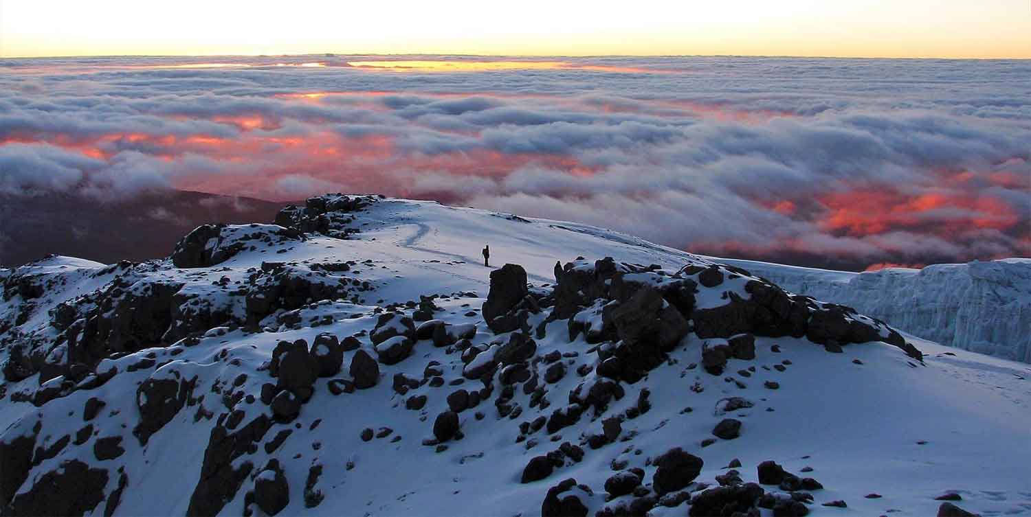 Trekking Kilimanjaro