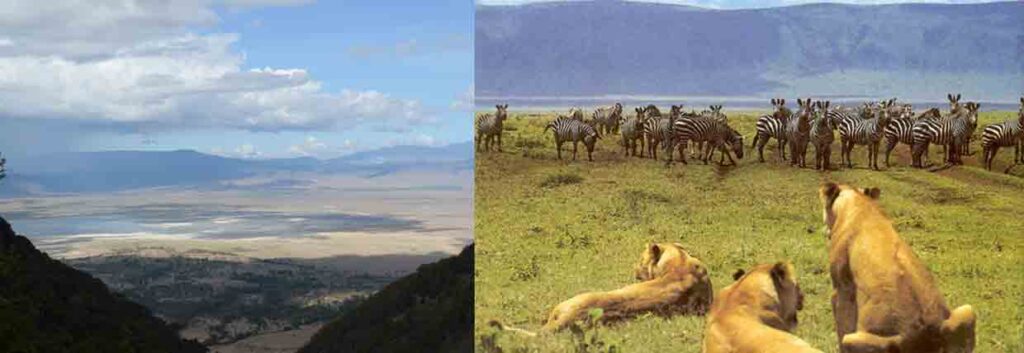 Gorongoro Crater