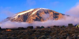 Elefantes del Kilimanjaro