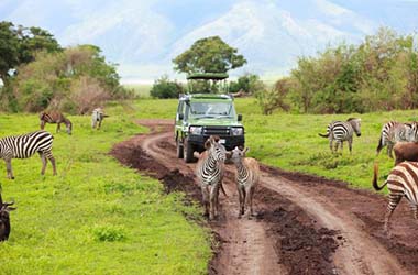 Da Serengeti a Ngorongoro