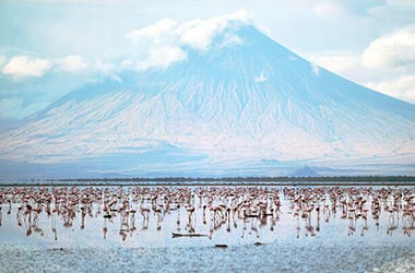 Visita Lago Natron