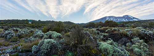 Trekking Machame Route