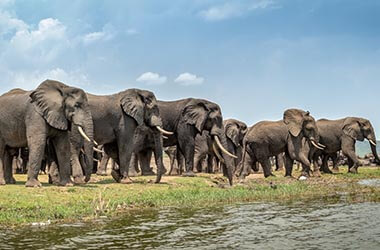 Queen Elizabeth National Park