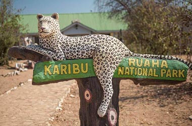 Ruaha National Park