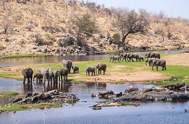 Safari Parco del Ruaha