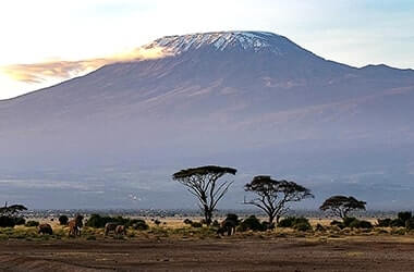 Arrivo in aeroporto e trasferimento ad Arusha