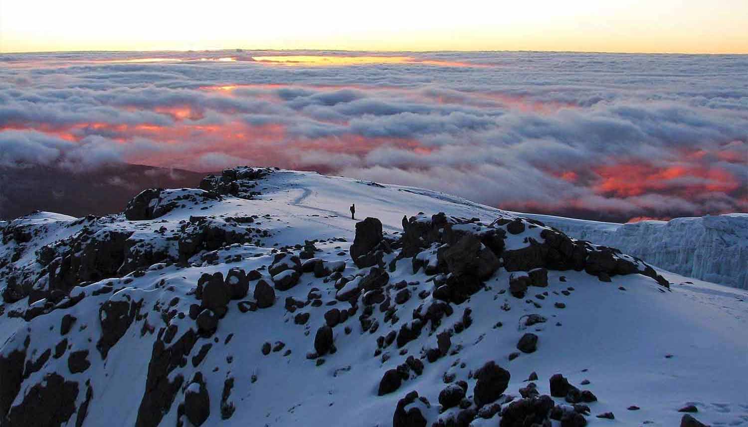 Trekking Kilimanjaro
