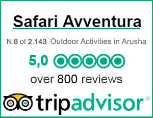 trip advisor Arusha