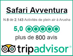 trip advisor Arusha