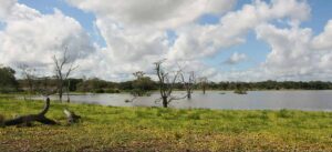 Riserva faunistica del Selous