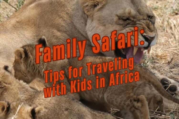 Safari with family