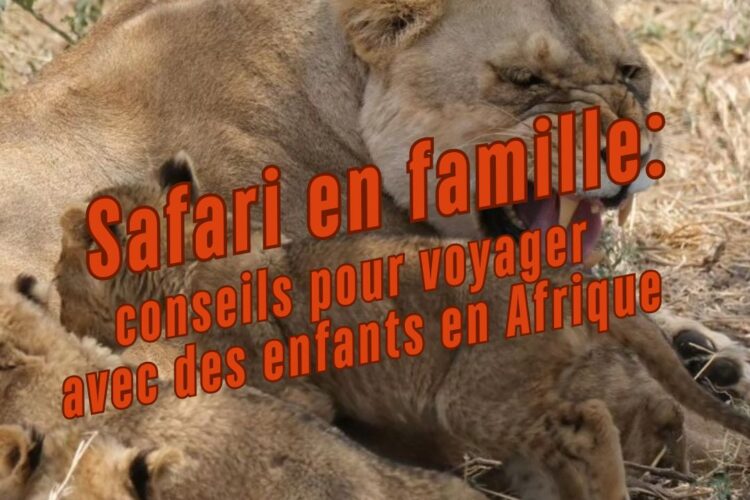 safari aventure familiale