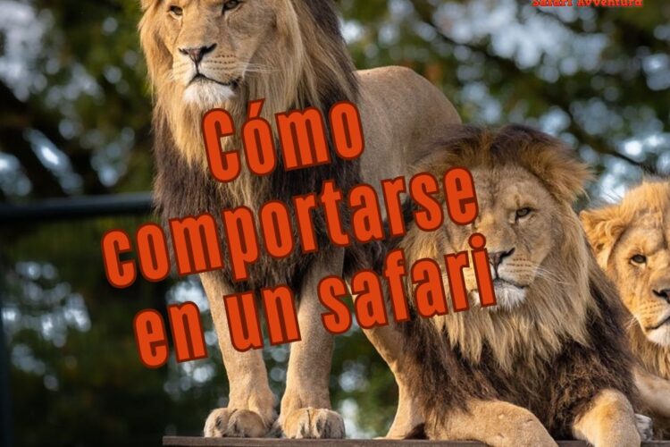Cómo comportarse en un safari