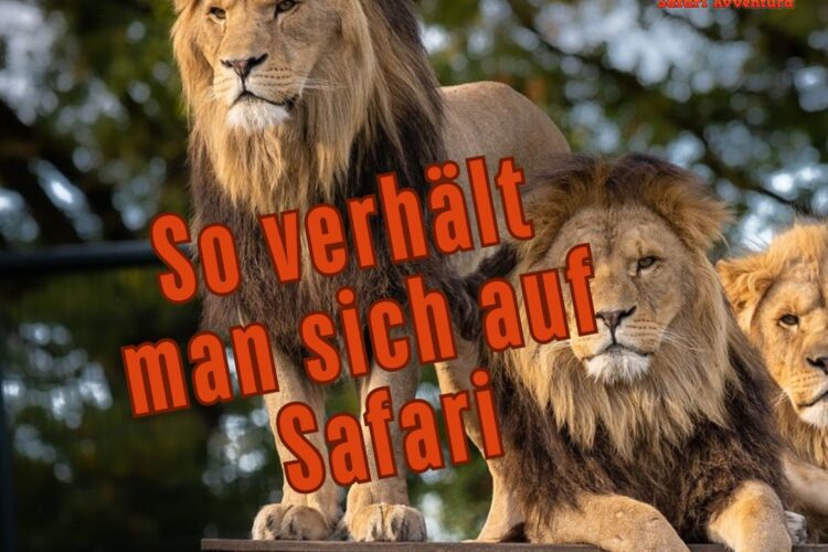 So verhält man sich auf Safari