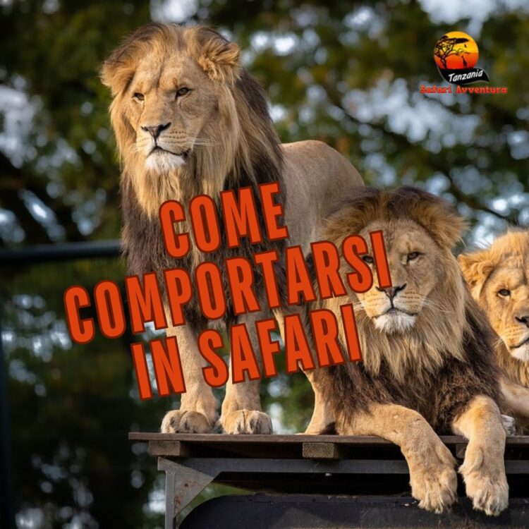 come comportarsi in safari