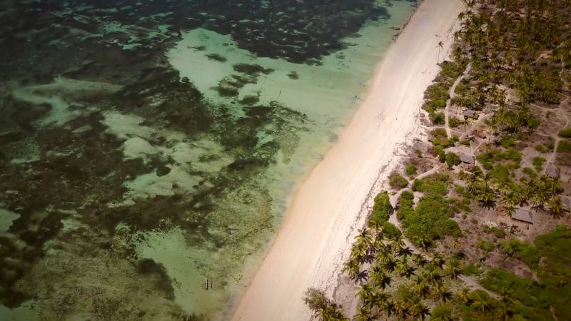 Aerial view of the paradisiac coast of Mafia Island, Tanzania